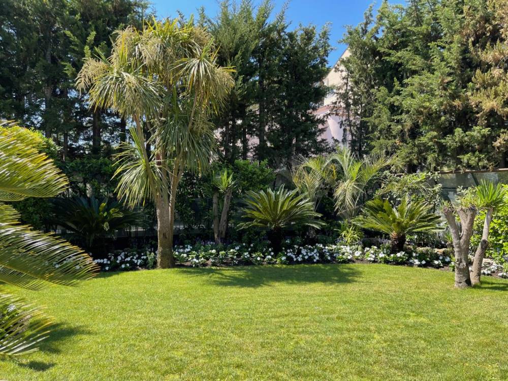 Entretien de jardins à Fréjus