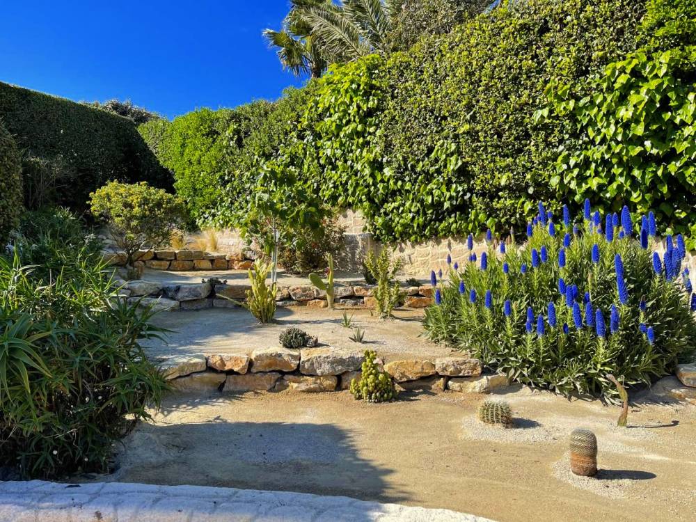 Réalisation de jardins méditerranéens à Fréjus