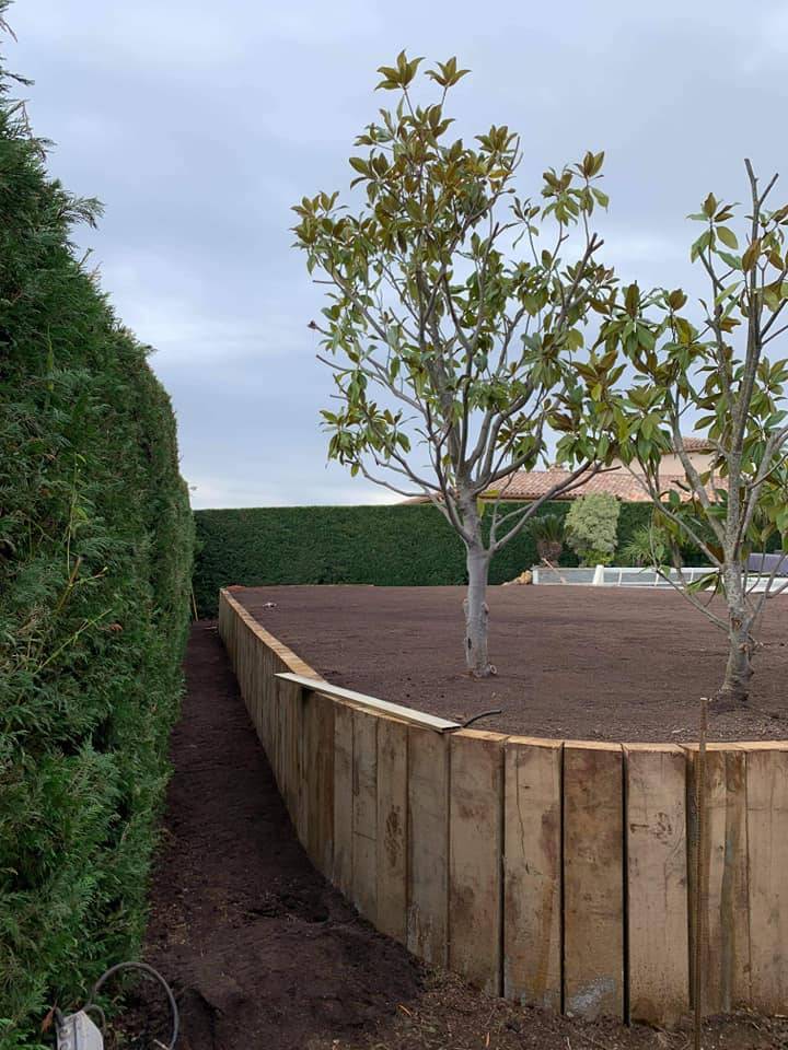 Plantation d'arbres Fréjus