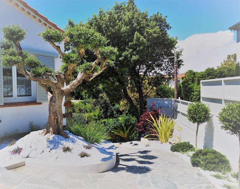 Création de jardin sec adapté à la sécheresse à Fréjus