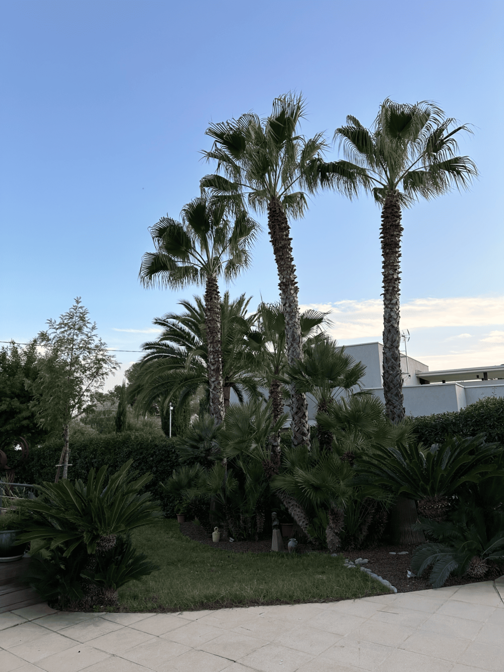 Entretien de jardin (1) (1) (1)